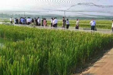 农业农村部计划财务司来兴化开展河蟹产业金融课题调研